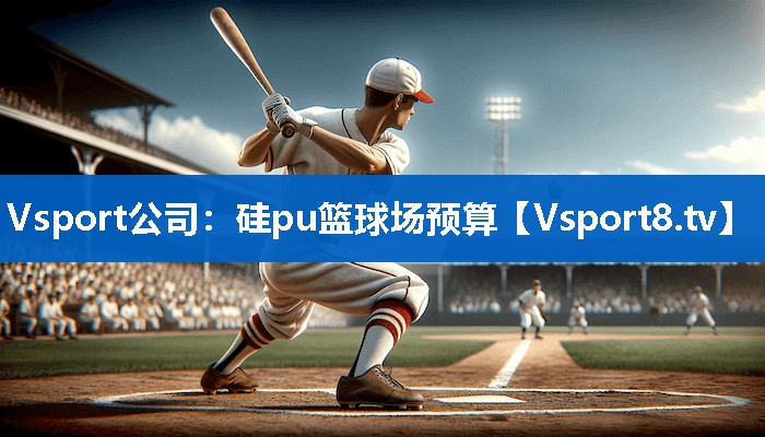 Vsport公司：硅pu篮球场预算