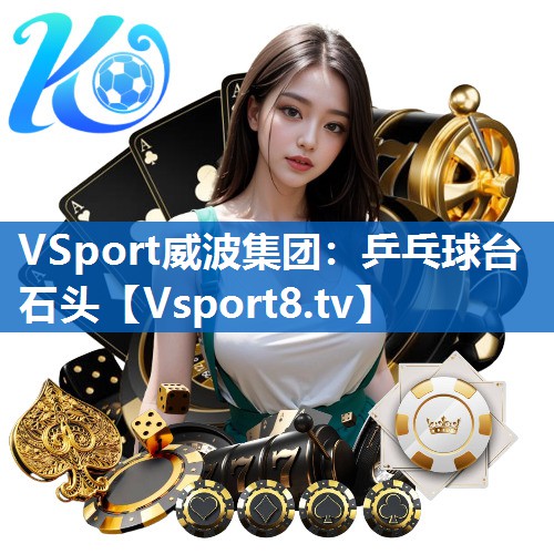 VSport威波集团：乒乓球台石头