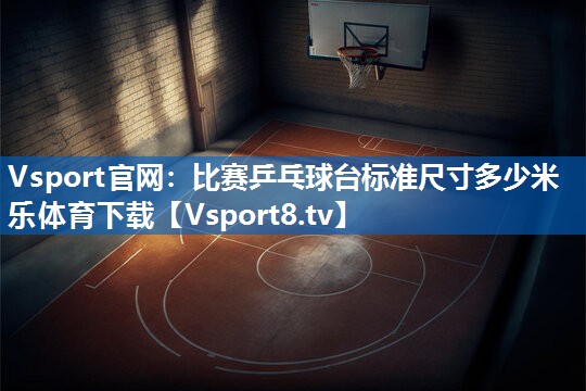 Vsport官网：比赛乒乓球台标准尺寸多少米乐体育下载