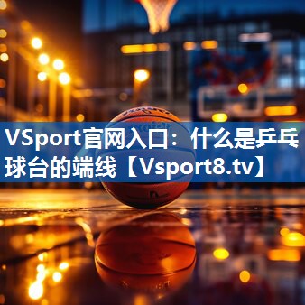 VSport官网入口：什么是乒乓球台的端线