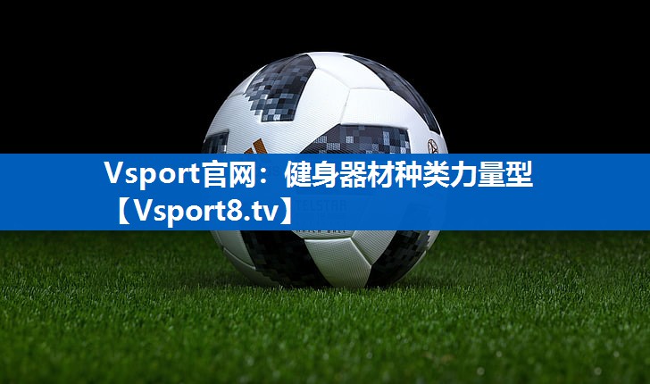 Vsport官网：健身器材种类力量型