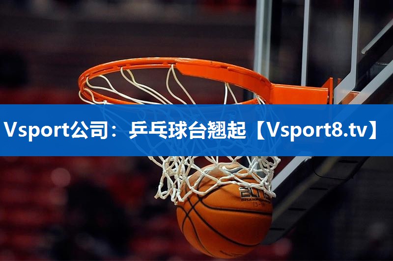 Vsport公司：乒乓球台翘起