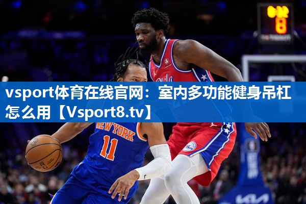 vsport体育在线官网：室内多功能健身吊杠怎么用