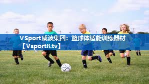 <strong>VSport威波集团：篮球体适能训练器材</strong>