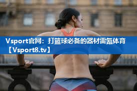 <strong>Vsport官网：打篮球必备的器材雷氪体育</strong>