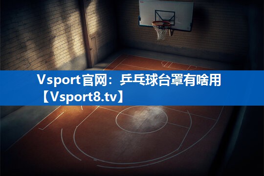 <strong>Vsport官网：乒乓球台罩有啥用</strong>