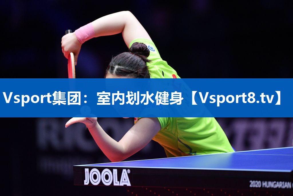 <strong>Vsport集团：室内划水健身</strong>