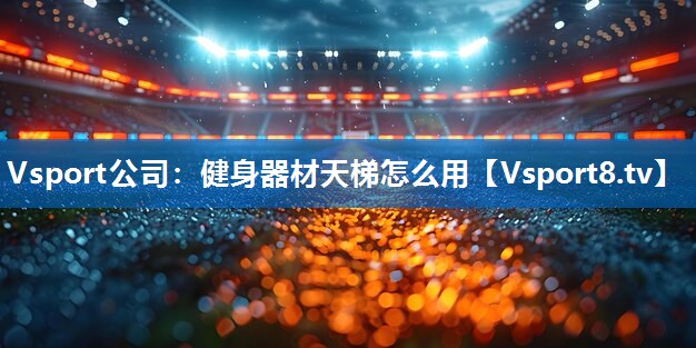 <strong>Vsport公司：健身器材天梯怎么用</strong>