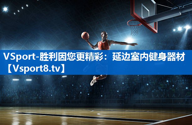 <strong>VSport-胜利因您更精彩：延边室内健身器材</strong>